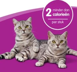 Whiskas Dentabites Kattensnoepjes - Kip - 8 X 40g -Kattenproducten 1200x1129 4