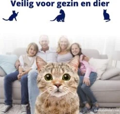 Biologische Vlooienband | Katten | Zonder Pesticiden | Vlooien En Teken | Veilig Voor Mens En Dier | Milieuvriendelijk | Kattenbandje | Geur Halsband 7 Biologische Vlooienband | Katten | Zonder Pesticiden | Vlooien En Teken | Veilig Voor Mens En Dier | Milieuvriendelijk | Kattenbandje | Geur Halsband -Kattenproducten 1200x1137 6