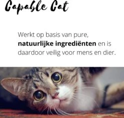 Capable Cat Vlooienband Kat | Vlooien | Luizen | Teken | Mijten | 8 Maanden Bescherming | Katten -Kattenproducten 1200x1142 1