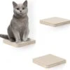 Navaris Katten Klimmuur 3 Tredes - 18 X 18 X 1,5 Cm Per Plankje - Katten Klimwand Van Hout - Inclusief Bevestigingsmateriaal 2 Navaris Katten Klimmuur 3 Tredes - 18 X 18 X 1,5 Cm Per Plankje - Katten Klimwand Van Hout - Inclusief Bevestigingsmateriaal -Kattenproducten 1200x1142 4