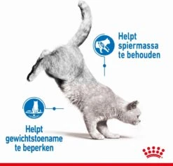 Royal Canin Light Weight Care - 1.5 Kg 19 Royal Canin Light Weight Care - 1.5 Kg -Kattenproducten 1200x1146