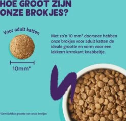 Edgard & Cooper Kattenvoer Adult Zalm 4 Kg -Kattenproducten 1200x1149 3