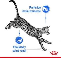 Royal Canin Feline Sterilised Indoor In Gravy -Kattenproducten 1200x1153 1
