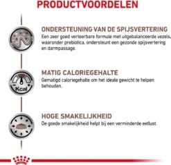 Royal Canin Gastro Intestinal Moderate Calorie Kat 12x85 Gr. 26 Royal Canin Gastro Intestinal Moderate Calorie Kat 12x85 Gr. -Kattenproducten 1200x1154 2