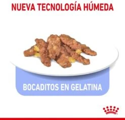 Royal Canin Feline Sterilised Indoor In Gravy -Kattenproducten 1200x1155 1