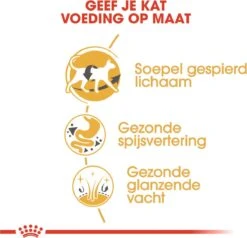 Royal Canin Siamese Adult - Kattenvoer - 4 Kg 16 Royal Canin Siamese Adult - Kattenvoer - 4 Kg -Kattenproducten 1200x1155