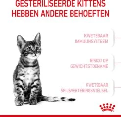 Royal Canin Kitten Sterilised - Kattenvoer - 3,5 Kg 25 Royal Canin Kitten Sterilised - Kattenvoer - 3,5 Kg -Kattenproducten 1200x1159 1