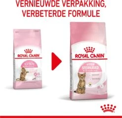 Royal Canin Kitten Sterilised - Kattenvoer - 2 Kg -Kattenproducten 1200x1159 13