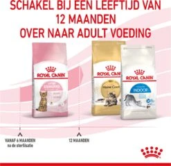 Royal Canin Kitten Sterilised - Kattenvoer - 2 Kg -Kattenproducten 1200x1159 14