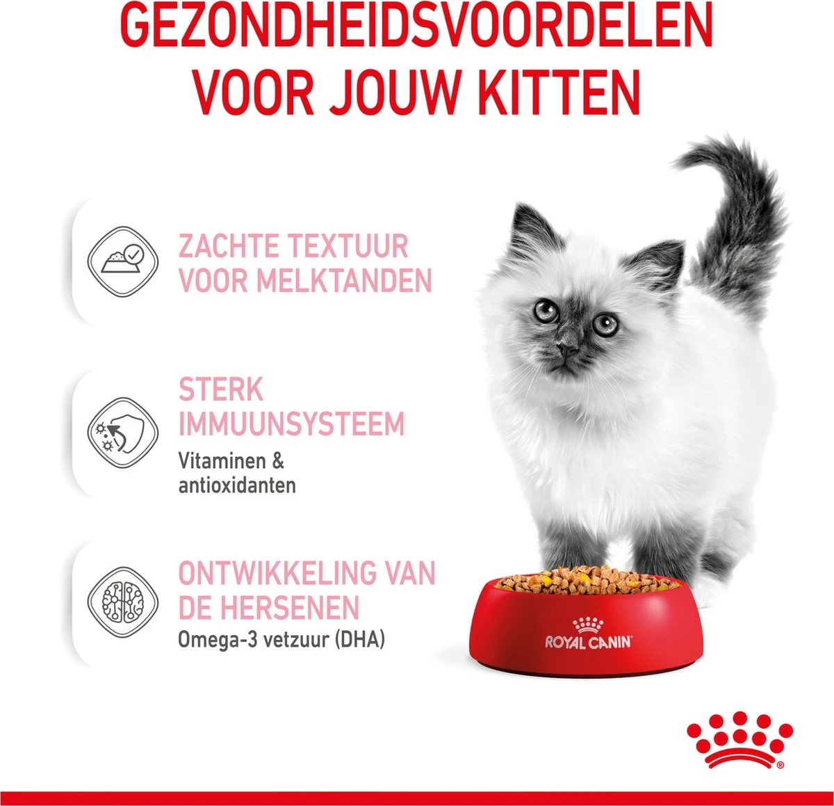 Royal Canin Kitten In Jelly - Kattenvoer - 1020 G 7 Royal Canin Kitten In Jelly - Kattenvoer - 1020 G - Afbeelding 5