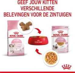 Royal Canin Kitten In Jelly - Kattenvoer - 1020 G 29 Royal Canin Kitten In Jelly - Kattenvoer - 1020 G -Kattenproducten 1200x1159 16