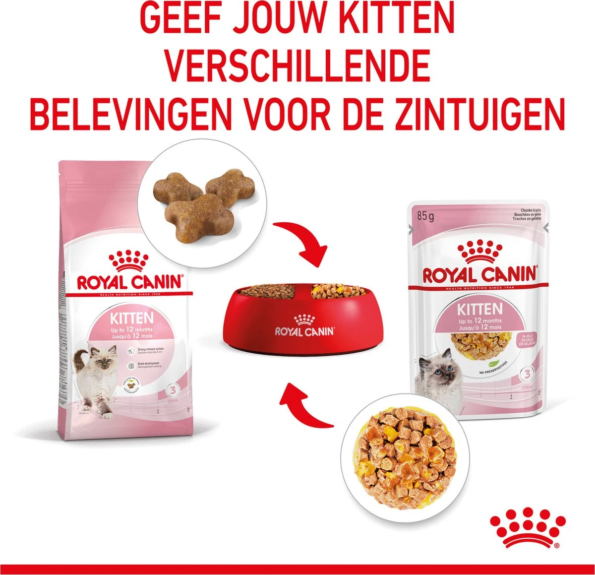 Royal Canin Kitten In Jelly - Kattenvoer - 1020 G 10 Royal Canin Kitten In Jelly - Kattenvoer - 1020 G - Afbeelding 8