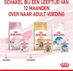 Royal Canin Kitten In Jelly - Kattenvoer - 1020 G 34 Royal Canin Kitten In Jelly - Kattenvoer - 1020 G -Kattenproducten 1200x1159 17
