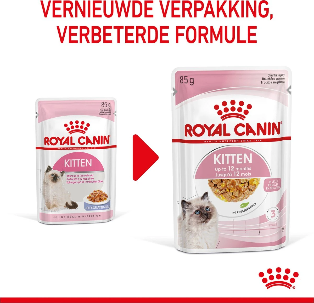 Royal Canin Kitten In Jelly - Kattenvoer - 1020 G 17 Royal Canin Kitten In Jelly - Kattenvoer - 1020 G - Afbeelding 15