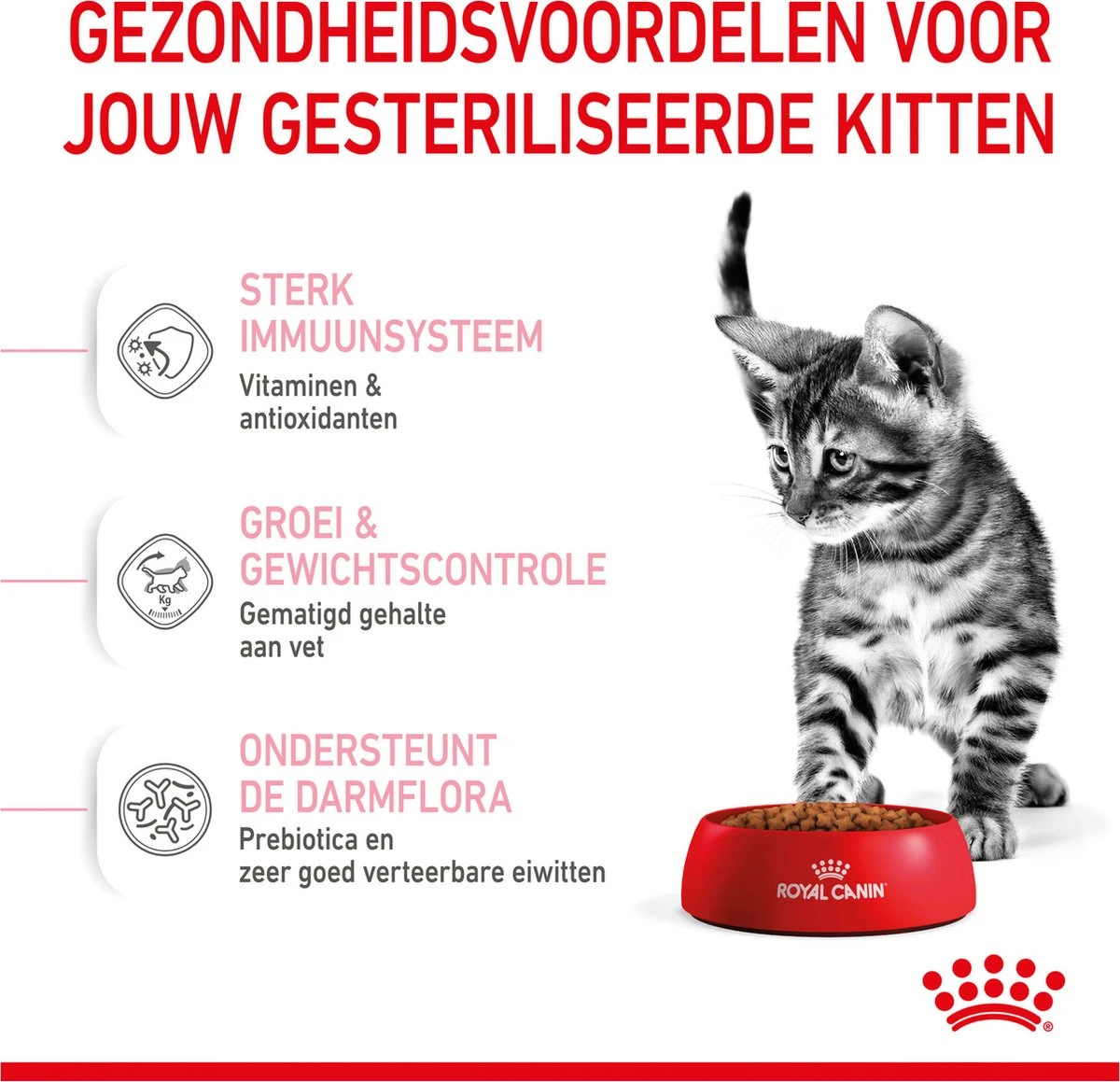 Royal Canin Kitten Sterilised - Kattenvoer - 3,5 Kg 8 Royal Canin Kitten Sterilised - Kattenvoer - 3,5 Kg - Afbeelding 6