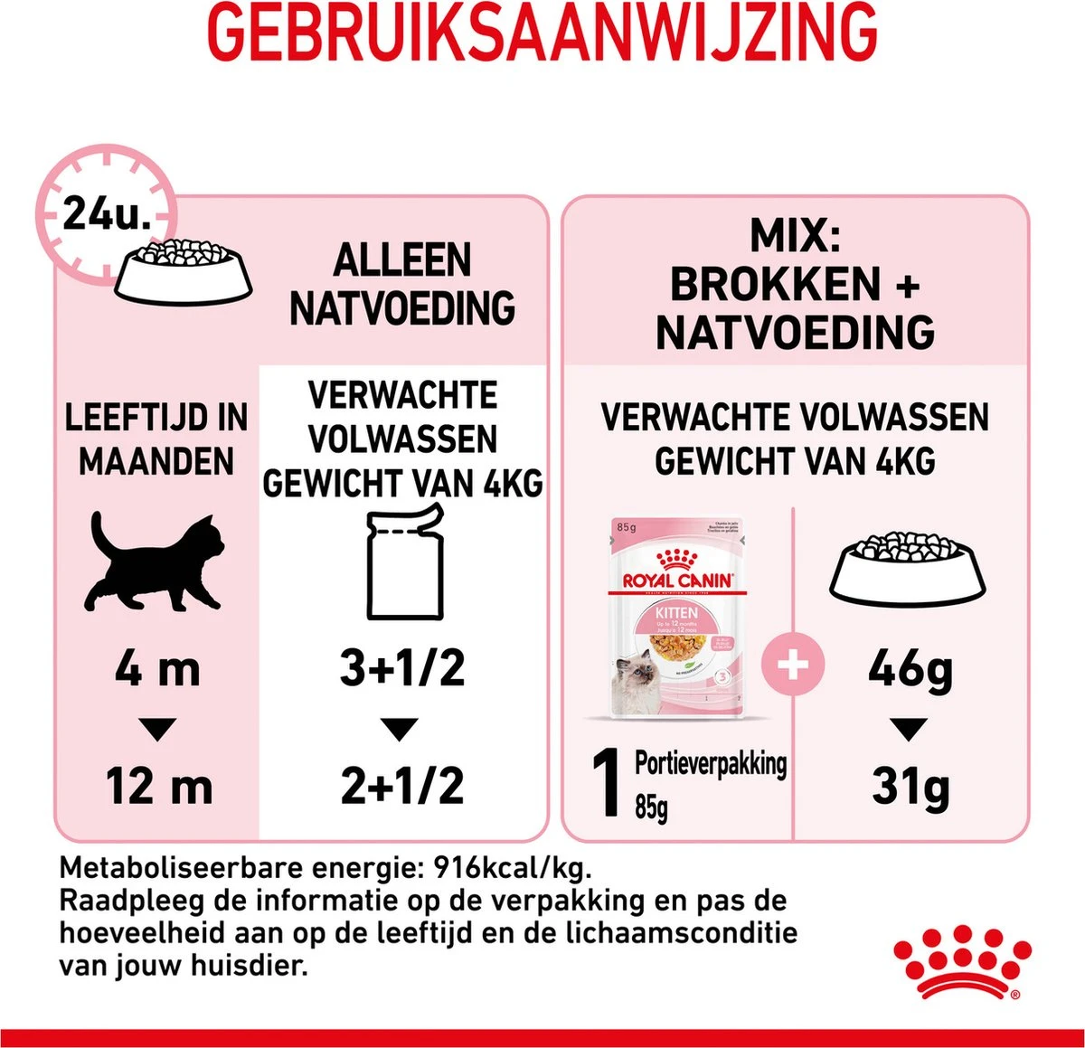 Royal Canin Kitten In Jelly - Kattenvoer - 1020 G 21 Royal Canin Kitten In Jelly - Kattenvoer - 1020 G - Afbeelding 19