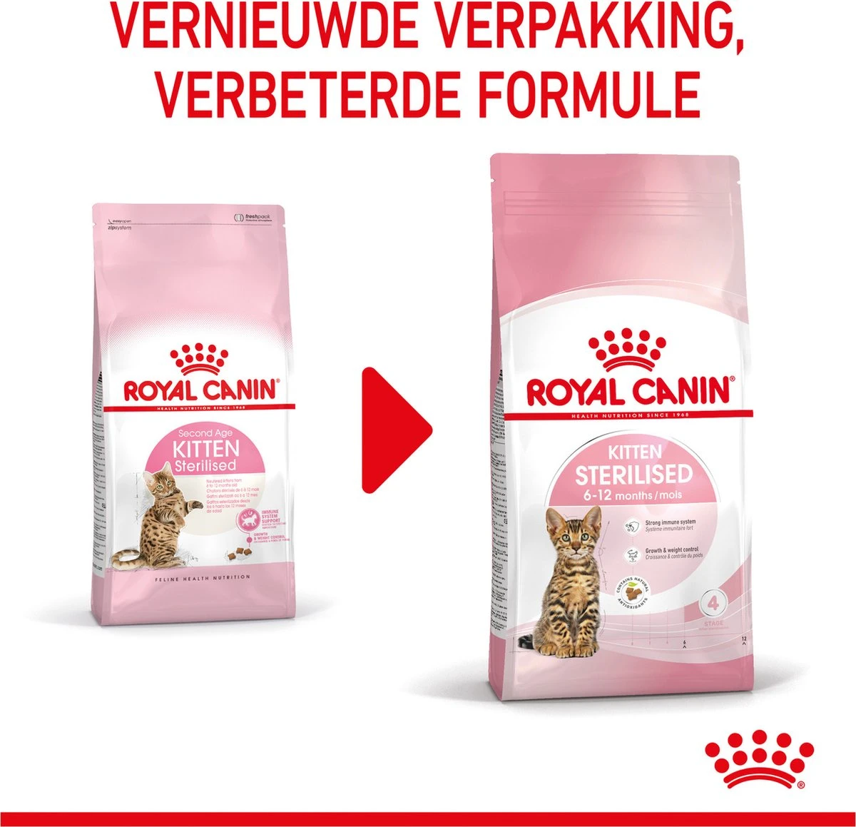 Royal Canin Kitten Sterilised - Kattenvoer - 3,5 Kg 15 Royal Canin Kitten Sterilised - Kattenvoer - 3,5 Kg - Afbeelding 13