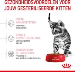 Royal Canin Kitten Sterilised - Kattenvoer - 2 Kg -Kattenproducten 1200x1159 9