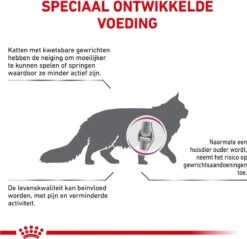 Royal Canin Mobility - Kattenvoer - 2 Kg 15 Royal Canin Mobility - Kattenvoer - 2 Kg -Kattenproducten 1200x1161 1