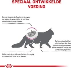 Royal Canin Kat Renal2 Kg 19 Royal Canin Kat Renal2 Kg -Kattenproducten 1200x1162 1