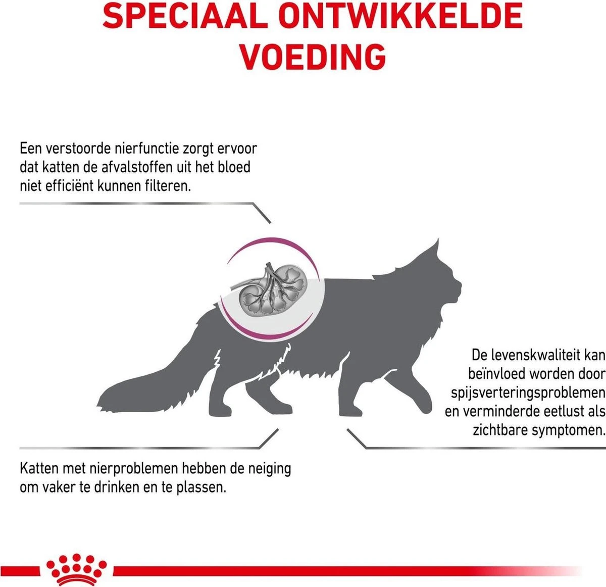 Royal Canin Kat Renal2 Kg 6 Royal Canin Kat Renal2 Kg - Afbeelding 4