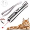Laserpen - USB - Kattenspeeltjes - Zaklamp - Kat - Laser - Kattenspeelgoed - RVS Opbergblikje -Kattenproducten 1200x1162 13