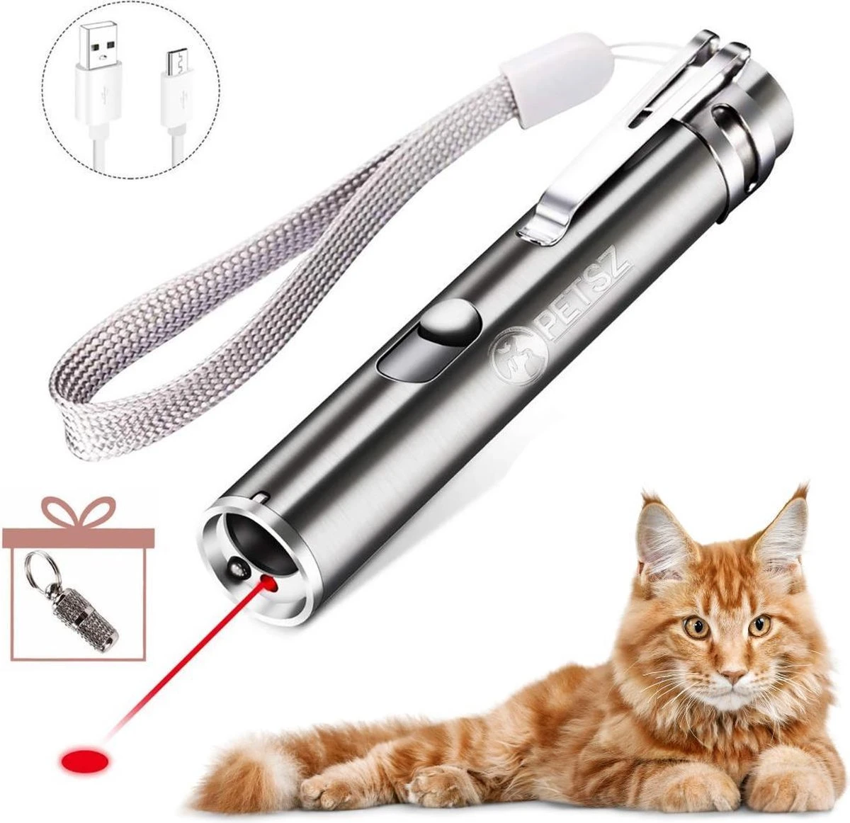Laserpen - USB - Kattenspeeltjes - Zaklamp - Kat - Laser - Kattenspeelgoed - RVS Opbergblikje 3 Laserpen - USB - Kattenspeeltjes - Zaklamp - Kat - Laser - Kattenspeelgoed - RVS Opbergblikje