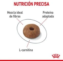 Royal Canin Light Weight Care - 1.5 Kg 21 Royal Canin Light Weight Care - 1.5 Kg -Kattenproducten 1200x1162 2