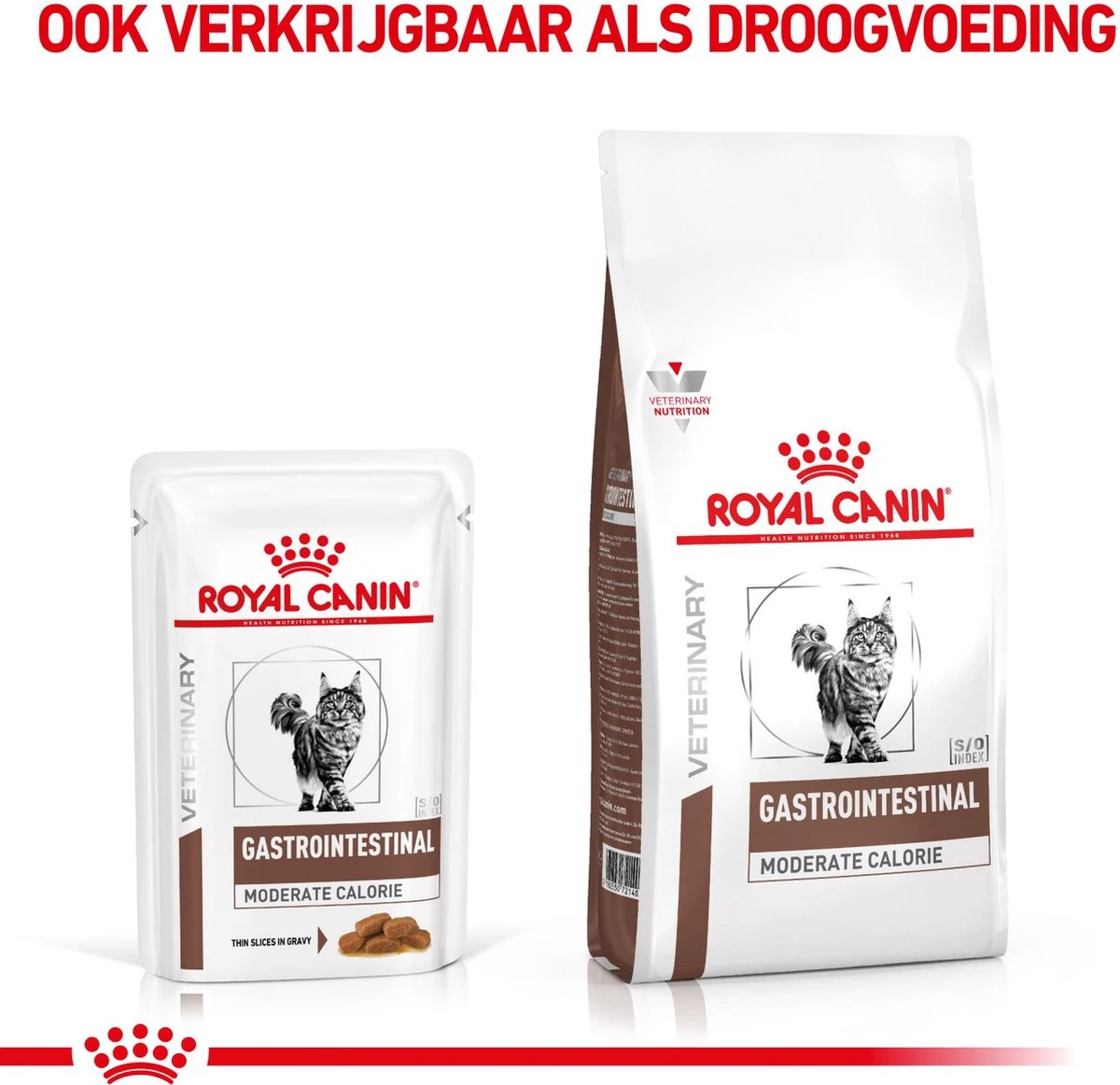 Royal Canin Gastro Intestinal Moderate Calorie Kat 12x85 Gr. 5 Royal Canin Gastro Intestinal Moderate Calorie Kat 12x85 Gr. - Afbeelding 3