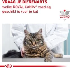 Royal Canin Gastro Intestinal Moderate Calorie Kat 12x85 Gr. 20 Royal Canin Gastro Intestinal Moderate Calorie Kat 12x85 Gr. -Kattenproducten 1200x1162 6