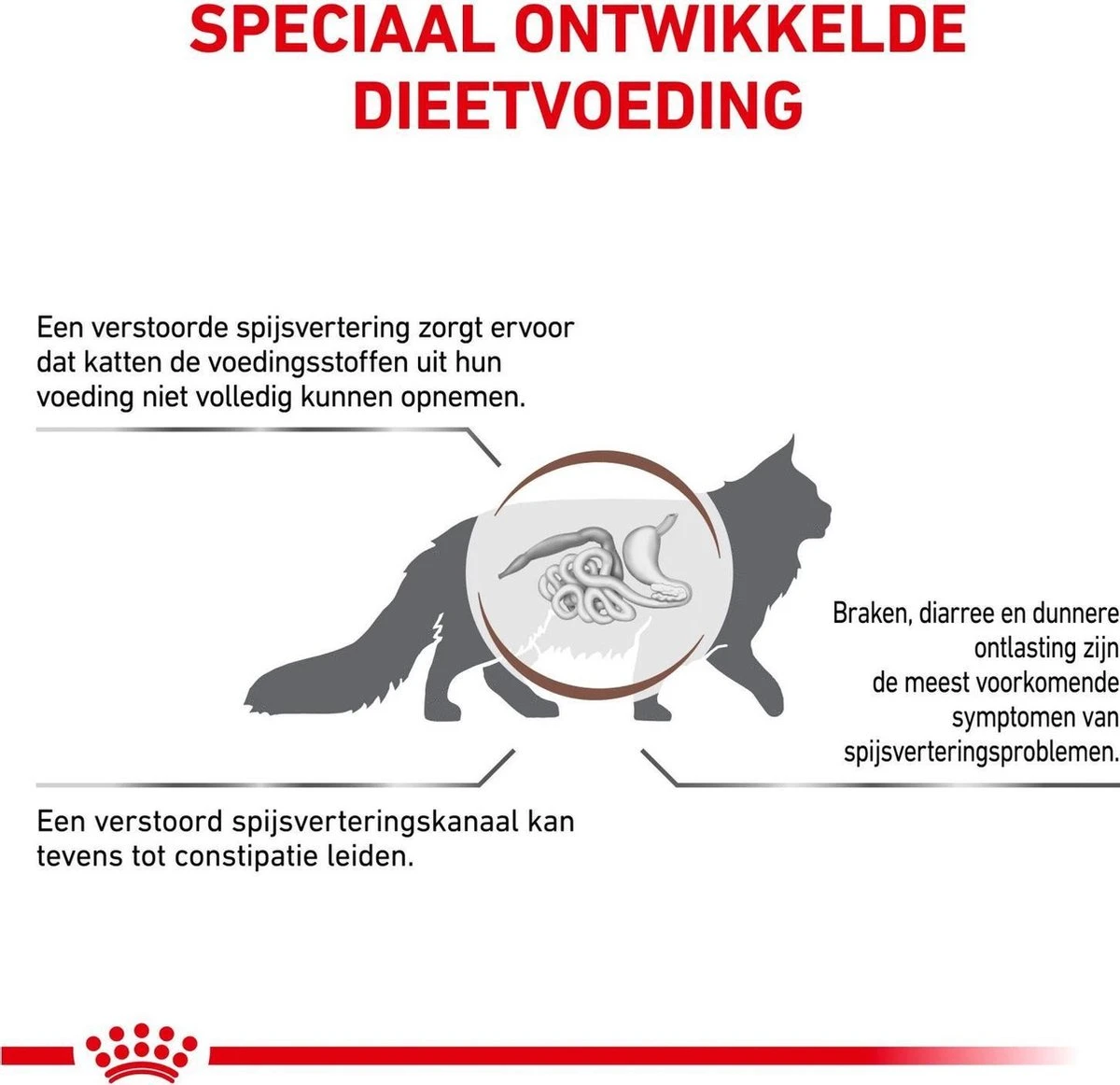 Royal Canin Fibre Response - Kattenvoer - 4 Kg 5 Royal Canin Fibre Response - Kattenvoer - 4 Kg - Afbeelding 3