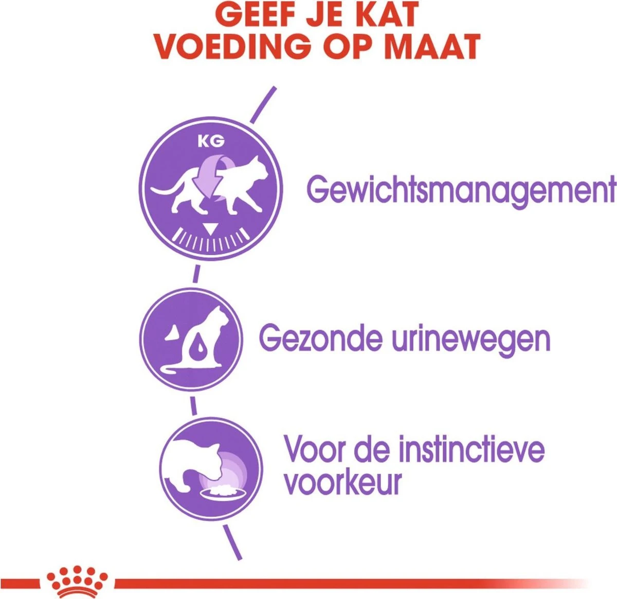 Royal Canin Sterilised In Jelly - Kattenvoer - 1020 G 6 Royal Canin Sterilised In Jelly - Kattenvoer - 1020 G - Afbeelding 4