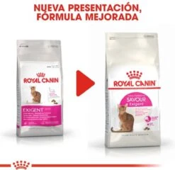 Royal Canin Savour Exigent - Kattenvoer - 4 Kg -Kattenproducten 1200x1164 2