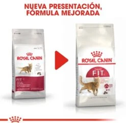 Royal Canin Fit 32 4 Kg -Kattenproducten 1200x1164 3