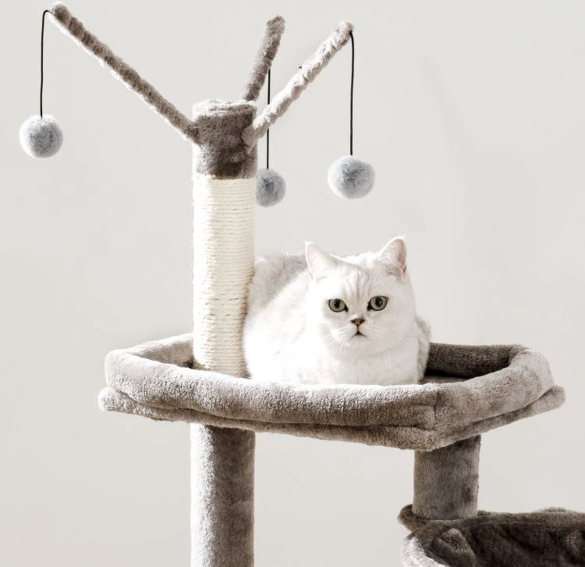 Signature Home Catty Krabpaal Met Kattenbak - Kattenbakkast - Kattenhuis Met Deur En Slot - Krabpalen Met Hangmat Mand Katten Huis - Kattenbakmeubel Verborgen - Alles-in-één Kattenspeelgoed Met Kattenhuis - Grijs - 60cm X 150cm X 48cm 5 Signature Home Catty Krabpaal Met Kattenbak - Kattenbakkast - Kattenhuis Met Deur En Slot - Krabpalen Met Hangmat Mand Katten Huis - Kattenbakmeubel Verborgen - Alles-in-één Kattenspeelgoed Met Kattenhuis - Grijs - 60cm X 150cm X 48cm - Afbeelding 3