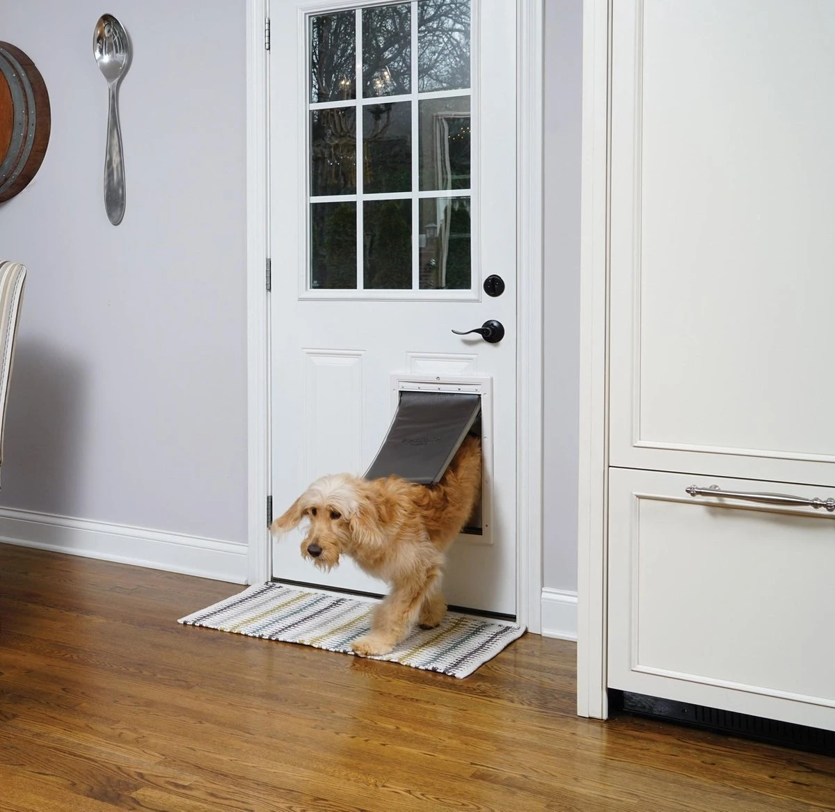 PetSafe Extreme Weather Door™ Small 6 PetSafe Extreme Weather Door™ Small - Afbeelding 4