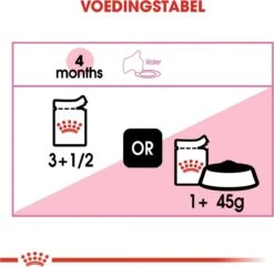 Royal Canin Kitten In Jelly - Kattenvoer - 1020 G 31 Royal Canin Kitten In Jelly - Kattenvoer - 1020 G -Kattenproducten 1200x1169