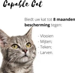 Capable Cat Vlooienband Kat | Vlooien | Luizen | Teken | Mijten | 8 Maanden Bescherming | Katten -Kattenproducten 1200x1170