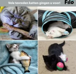 Filo Kattenspeelgoed Set 30 Stuks - Kattenspeeltje Kattentunnel - Kattenhengel - Kattenveertjes - Vis Met Kattenkruid - Kattenspeeltjes Intelligentie Kitten - Interactief Speelgoed Katten - Poezen Speeltjes 15 Filo Kattenspeelgoed Set 30 Stuks - Kattenspeeltje Kattentunnel - Kattenhengel - Kattenveertjes - Vis Met Kattenkruid - Kattenspeeltjes Intelligentie Kitten - Interactief Speelgoed Katten - Poezen Speeltjes -Kattenproducten 1200x1170 3
