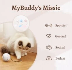 MyBuddy - Interactieve Zelf Rollende Bal - Kattenspeeltjes - Kattenspeelgoed - Bal Voor Katten - LED Lights - Speelgoed - USB - Roze -Kattenproducten 1200x1171 2