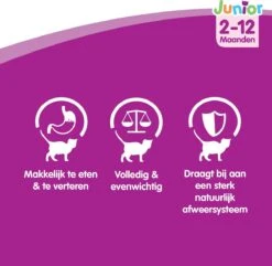 Whiskas Junior Katten Natvoer - Classic Selectie In Saus - 48 X 100g 10 Whiskas Junior Katten Natvoer - Classic Selectie In Saus - 48 X 100g -Kattenproducten 1200x1172