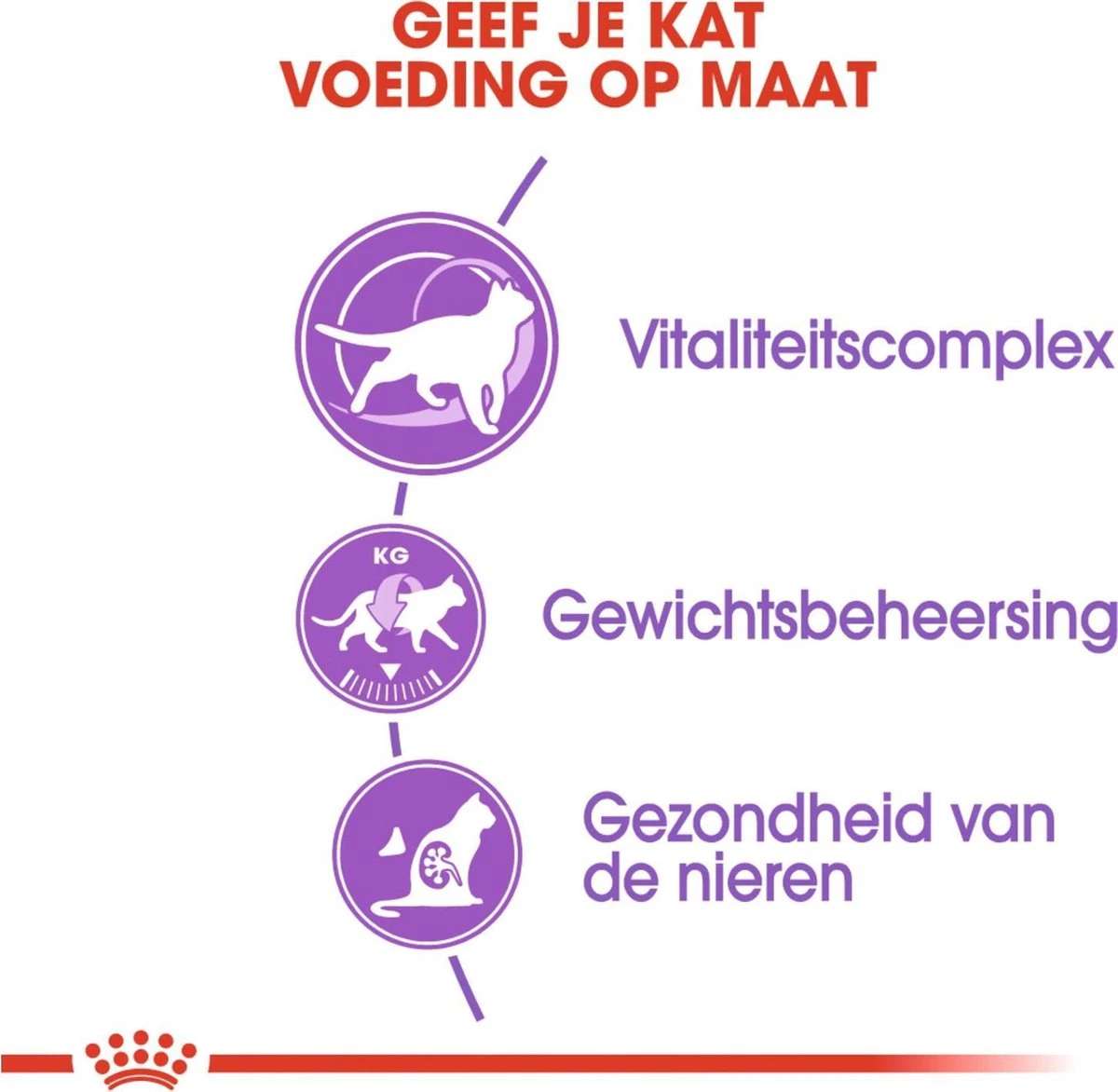 Royal Canin Sterilised 7+ - Kattenvoer - 10 Kg 5 Royal Canin Sterilised 7+ - Kattenvoer - 10 Kg - Afbeelding 3