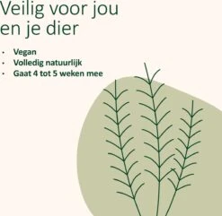 Catuals Kattenbakvulling Geurverdrijver - Neutraliseert Urinegeur Van Katten - Cotton Fresh - 1kg 14 Catuals Kattenbakvulling Geurverdrijver - Neutraliseert Urinegeur Van Katten - Cotton Fresh - 1kg -Kattenproducten 1200x1172 8