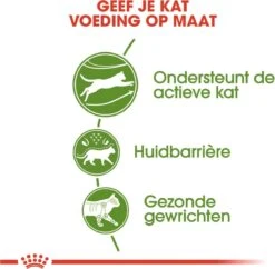 Royal Canin Outdoor - Kattenvoer - 4 Kg 21 Royal Canin Outdoor - Kattenvoer - 4 Kg -Kattenproducten 1200x1177 1
