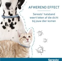Seresto Teken- En Vlooienband - Anti Tekenmiddel - Kat - 38 Cm 25 Seresto Teken- En Vlooienband - Anti Tekenmiddel - Kat - 38 Cm -Kattenproducten 1200x1179 1