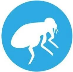 Bayer Bolfo Gold 40 Anti Vlooienmiddel - Kat - 0 Tot 4 Kg - 4 Pipetten 21 Bayer Bolfo Gold 40 Anti Vlooienmiddel - Kat - 0 Tot 4 Kg - 4 Pipetten -Kattenproducten 1200x1180 10