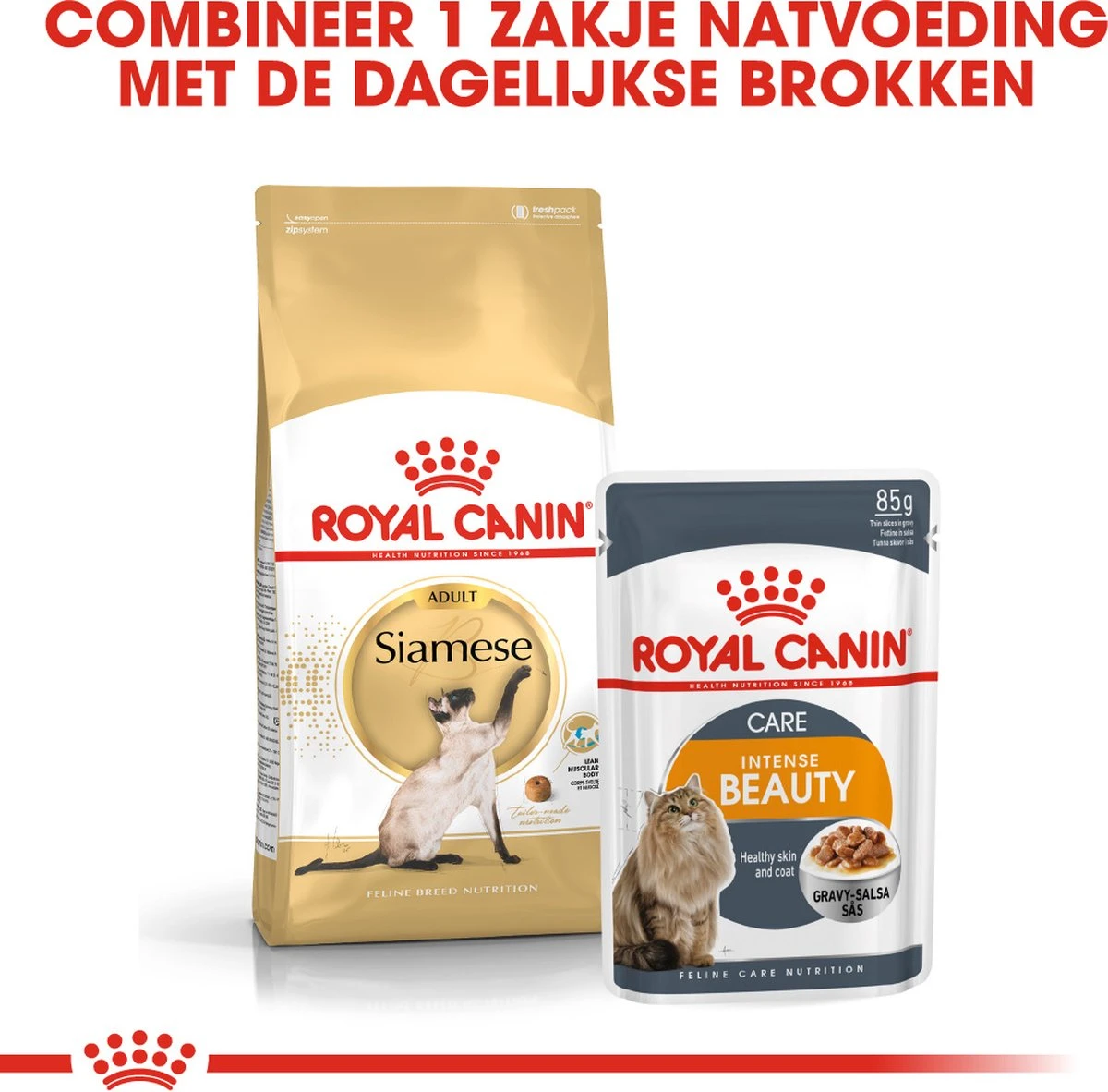 Royal Canin Siamese Adult - Kattenvoer - 4 Kg 8 Royal Canin Siamese Adult - Kattenvoer - 4 Kg - Afbeelding 6