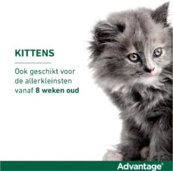 Bayer Anti Vlooienmiddel Advantage 80 > 4 Kg - 4 X 0,8 Ml 30 Bayer Anti Vlooienmiddel Advantage 80 > 4 Kg - 4 X 0,8 Ml -Kattenproducten 1200x1183 3