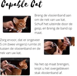 Capable Cat Vlooienband Kat | Vlooien | Luizen | Teken | Mijten | 8 Maanden Bescherming | Katten -Kattenproducten 1200x1186