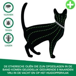 Teken- En Vlooienband Voor Katten PLUS - Natuurlijk Middel Tegen Vlooien En Teken - 100% Natuurlijk - 38,5 CM - Tot 8 Maand Werkzaam - Biologisch 10 Teken- En Vlooienband Voor Katten PLUS - Natuurlijk Middel Tegen Vlooien En Teken - 100% Natuurlijk - 38,5 CM - Tot 8 Maand Werkzaam - Biologisch -Kattenproducten 1200x1188 2